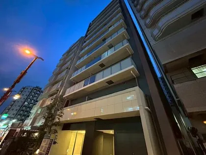 ジェイラピスナンバの画像