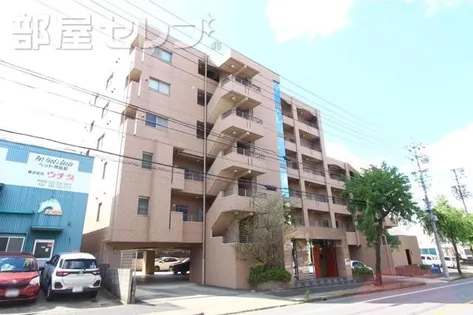 アルカディアⅧ【302号室】の外観