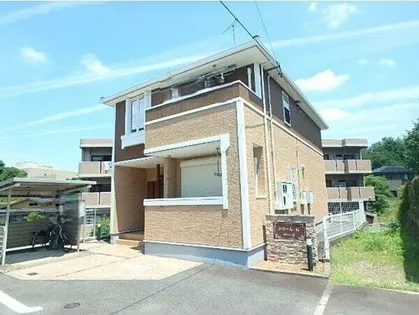 ドリーム Gの画像