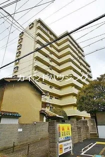 ビューテラス大新【7階】の外観