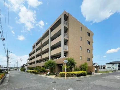 サニング パレスの画像