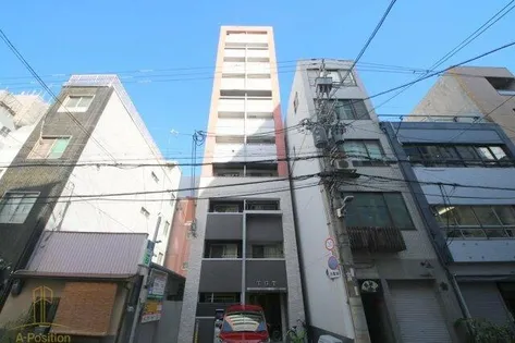 T G Tの画像