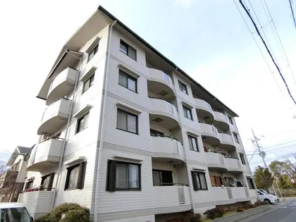 ディアコート真砂の画像