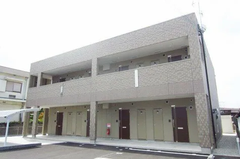 セレブ パール二色の画像