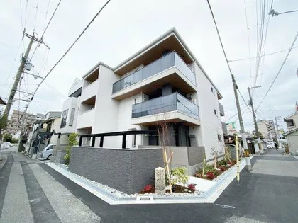 レクタスの画像