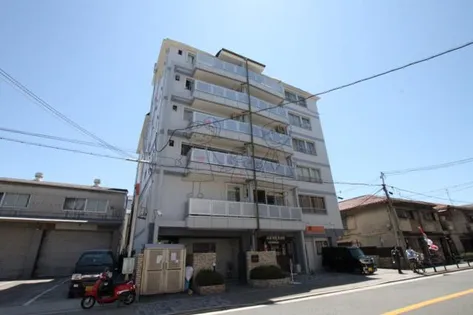 ジョバンニアドニスの画像