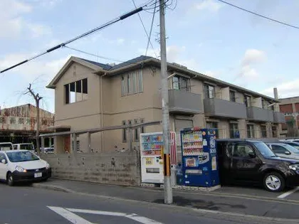 スプリング大将軍の画像