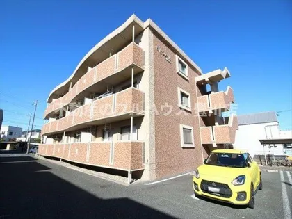 ヒラソールの画像