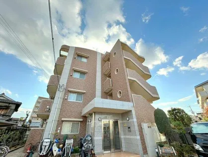 アプリコット こさかの画像