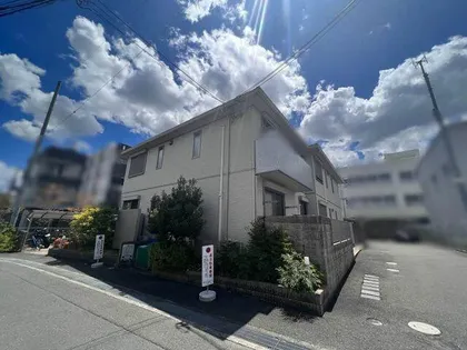 SHAMAISON E Iの画像