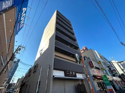 シーラビフォリアの画像