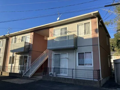 ノールカトレアⅡBの画像