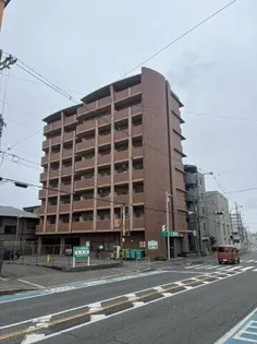 IBC中百舌鳥の画像