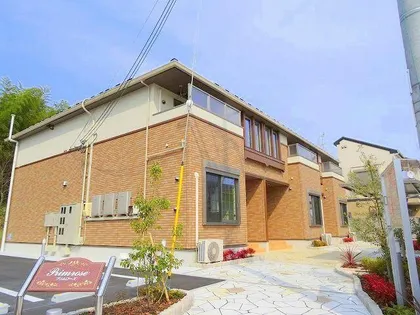 プリムローズの画像