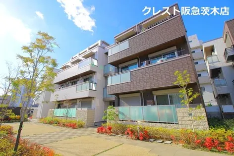 アンビエラ天王の画像