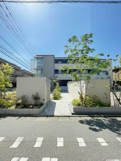 VERDE CLAROの画像