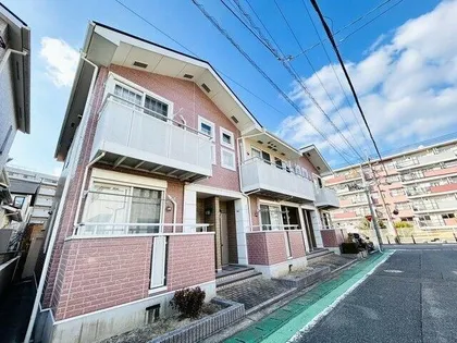 Y Kオーシャンの画像