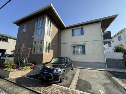 ルピナスの画像