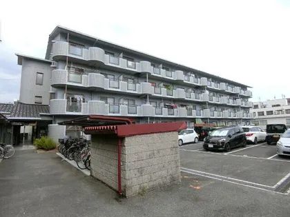 アンセスター91の画像