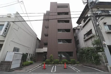 シムリーミナの画像