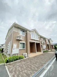 プラシード アロッジオの画像