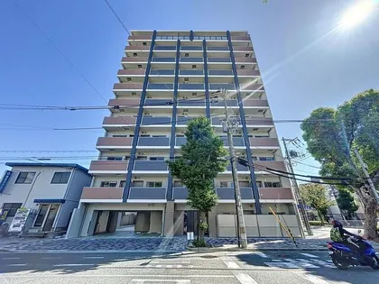 MJC神戸ブレイヴの画像