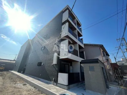 F CLIODHNA SEAMの画像