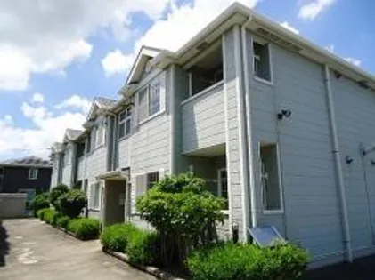 モア シャルマンの画像