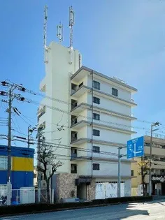 エンカーサ アマの画像