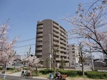 フランフォーレしらさぎの画像