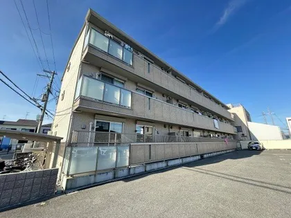 キッズコーレの画像