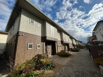 ブライト グリーンⅡの画像