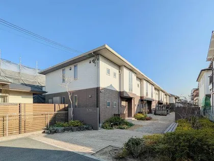 ブライト グリーンⅡの画像