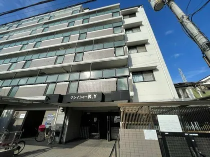 グレイシィーK Yの画像