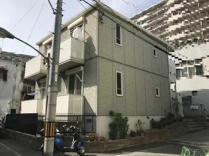 カササンボンギの画像