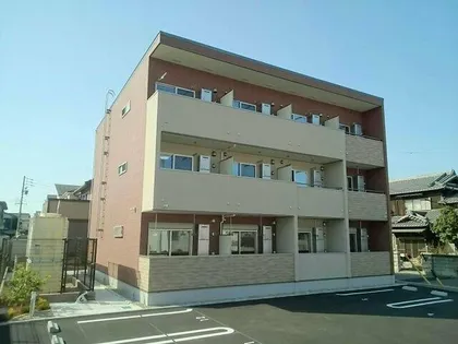 ひかりの画像
