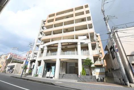 ルピナスⅡの画像