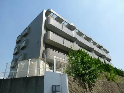 ホワイトアースの画像