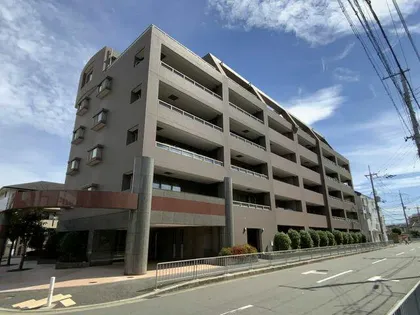 ステラ中百舌鳥の画像