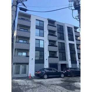 GATO ASSORTIの画像