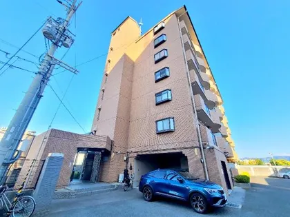 グレイシィフジの画像