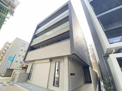 べレオ花の木の画像