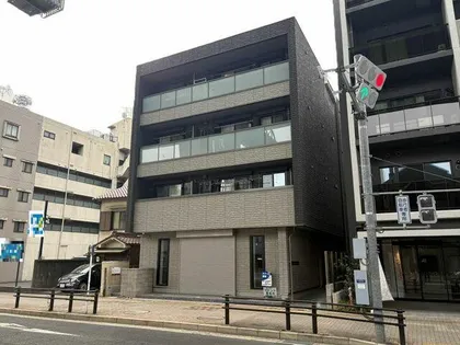 べレオ花の木の画像