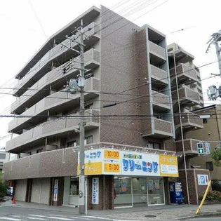 ロリオンの画像