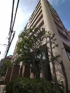 大阪府大阪市天王寺区上汐4丁目【マンション】の外観