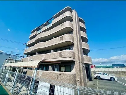 FILL SHINE フィル シャインの画像