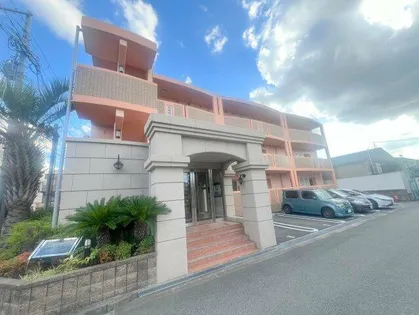 セレンディピティ O Vの画像