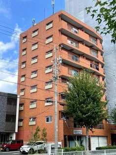 ライオンズマンション川原通【602号室】の外観