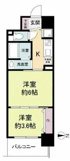 セレニテ心斎橋グランデ【1101号室】の間取り