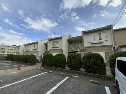 タウニー中長尾の画像